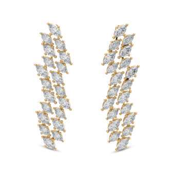 Fancy long earrings